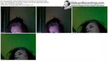 showup-whatdoesthefoxsay-public-show-04_09_2015-23_21_36