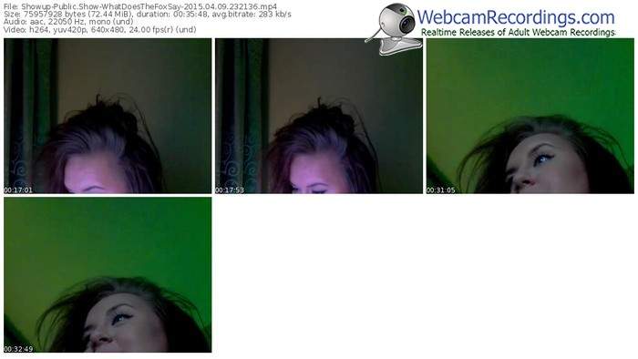 showup-whatdoesthefoxsay-public-show-04_09_2015-23_21_36
