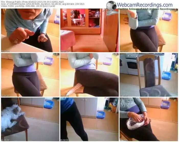 showup-blodi22-public-show-04_09_2015-14_24_51