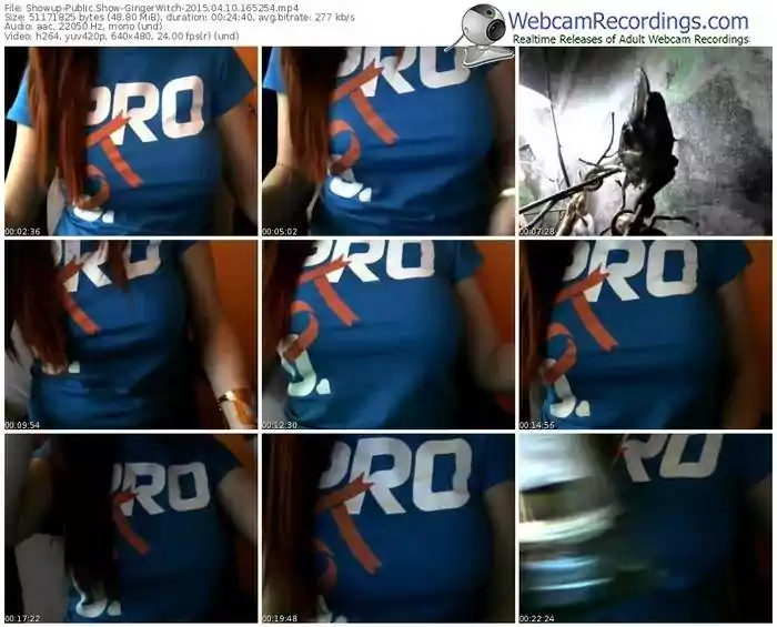 showup-gingerwitch-public-show-04_10_2015-16_52_54