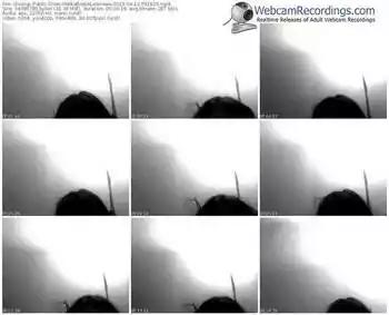 showup-matkaboskalaserowa-public-show-04_10_2015-03_16_20