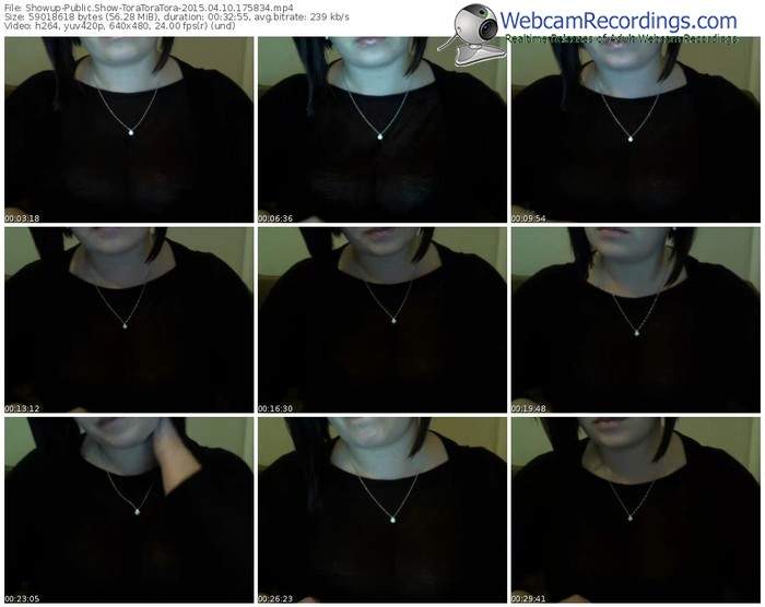 showup-toratoratora-public-show-04_10_2015-17_58_34