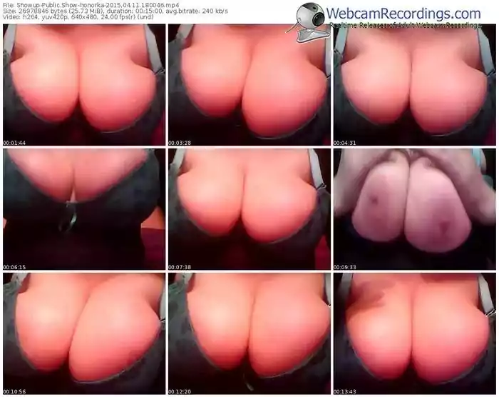 showup-honorka-public-show-04_11_2015-18_00_46