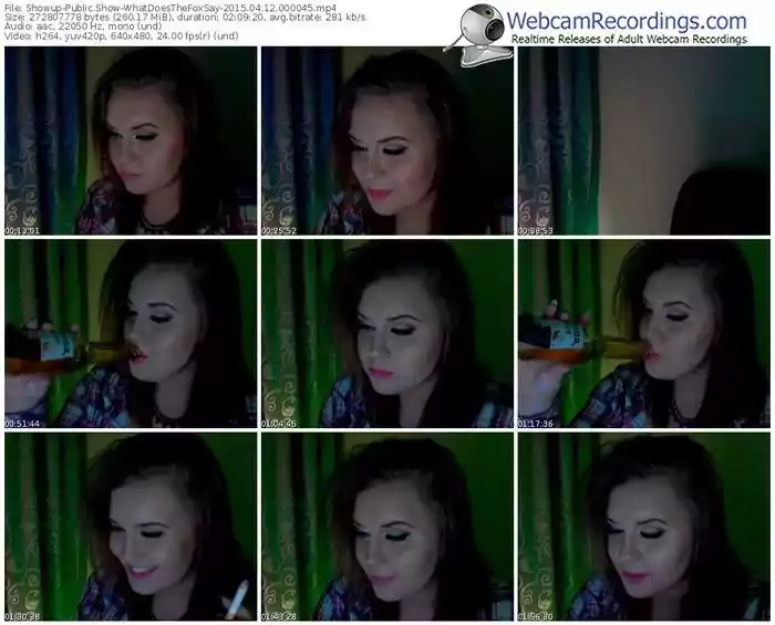 showup-whatdoesthefoxsay-public-show-04_12_2015-00_00_45