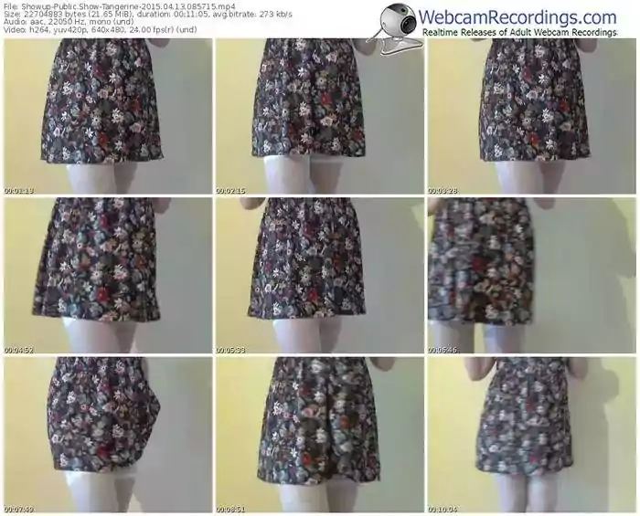 showup-tangerine-public-show-04_13_2015-08_57_15