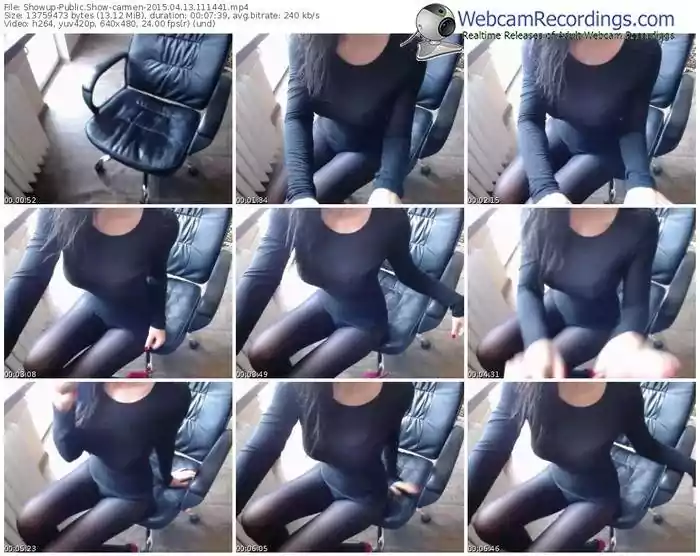 showup-carmen-public-show-04_13_2015-11_14_41