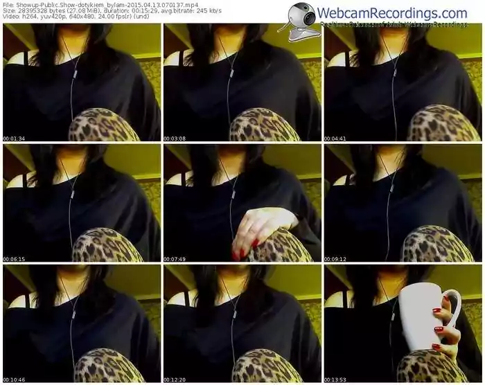 showup-dotykiem_bylam-public-show-04_13_2015-07_01_37