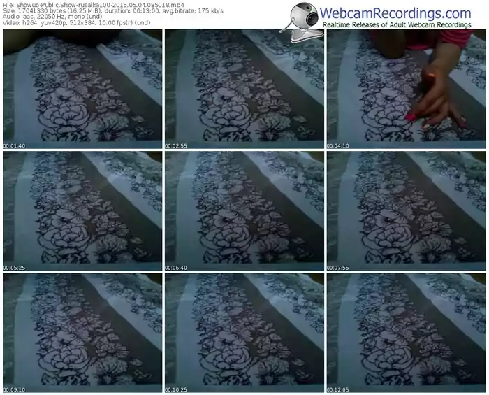 showup-rusalka100-public-show-05_04_2015-08_50_18