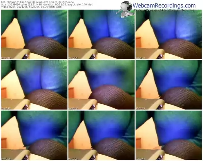 showup-karolina-public-show-06_01_2015-07_19_55