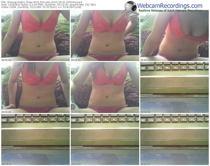showup-wild_princess-public-show-06_01_2015-04_53_44