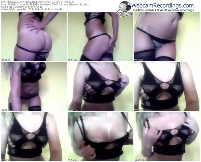 showup-pantera26-public-show-06_02_2015-10_13_04