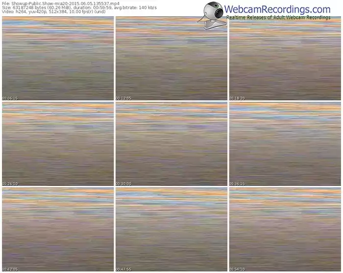 showup-mia20-public-show-06_05_2015-13_55_37