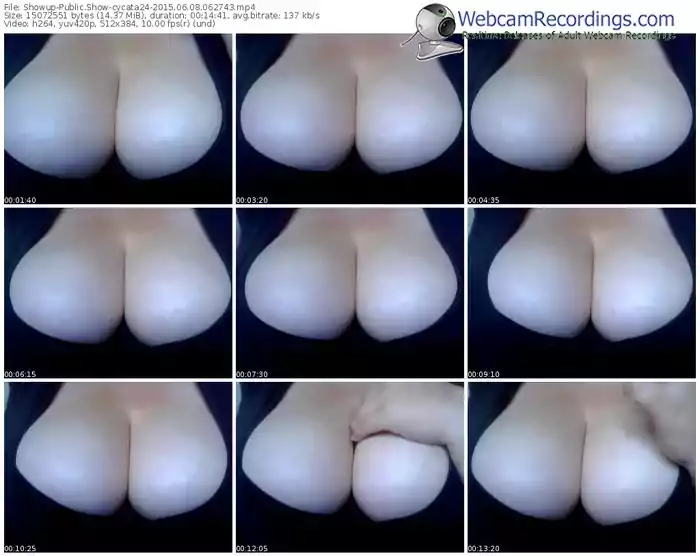 showup-cycata24-public-show-06_08_2015-06_27_43