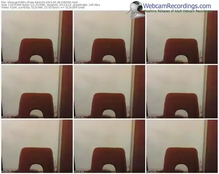 showup-kami20-public-show-06_08_2015-03_06_50