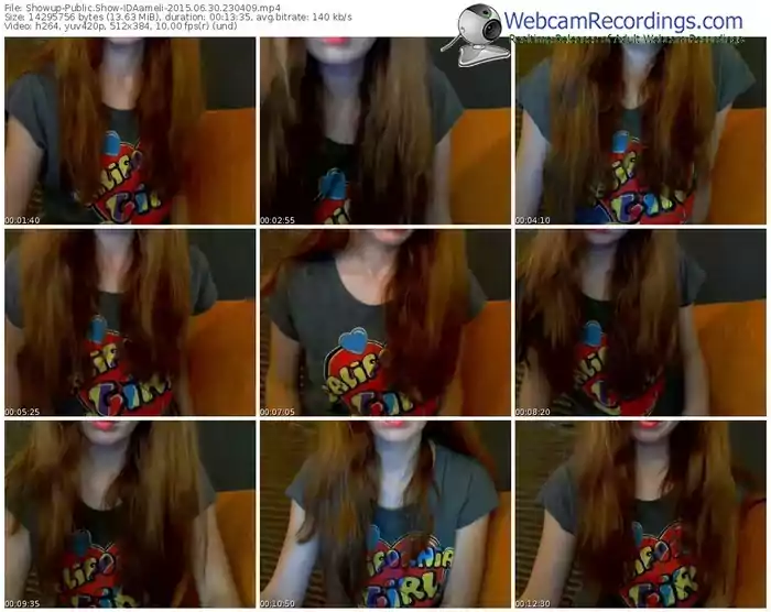 showup-idaameli-public-show-06_30_2015-23_04_09