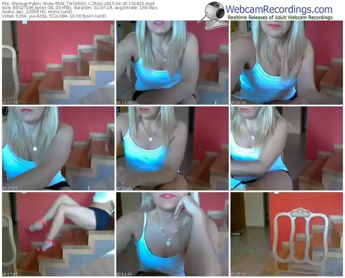 showup-pani_twojego_czasu-public-show-06_30_2015-15_18_15