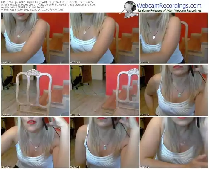 showup-pani_twojego_czasu-public-show-06_30_2015-16_40_19