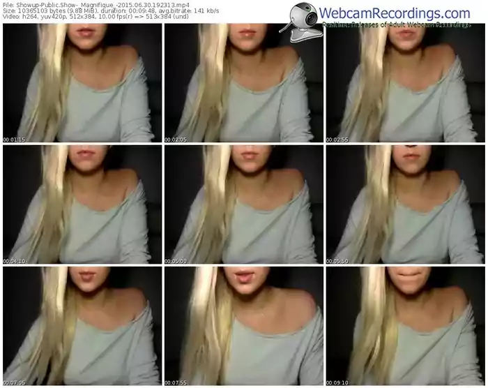 showup-_magnifique_-public-show-06_30_2015-19_23_13