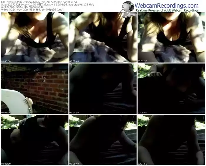 showup-honey_girl-public-show-06_30_2015-15_46_31