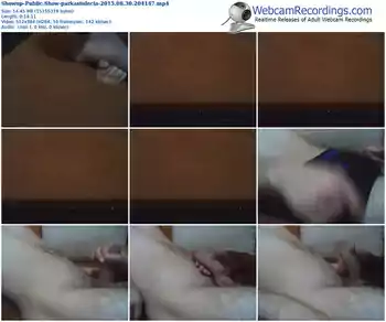 showup-parkastulecia-public-show-06_30_2015-20_41_47