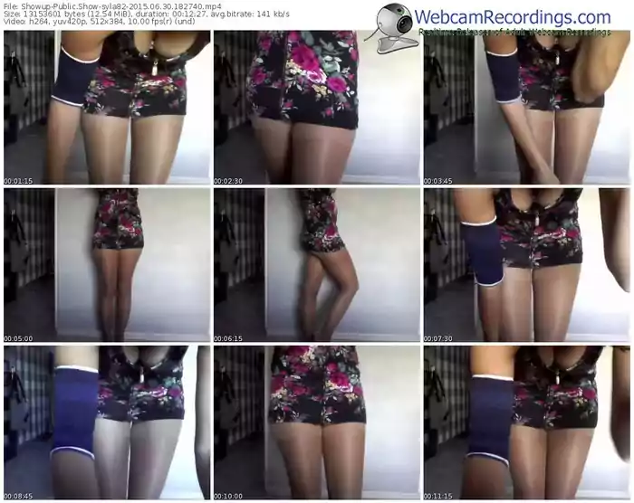showup-syla82-public-show-06_30_2015-18_27_40