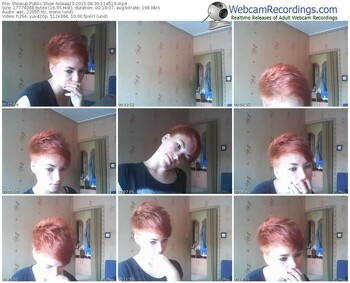 showup-tolaaa23-public-show-06_30_2015-11_45_19