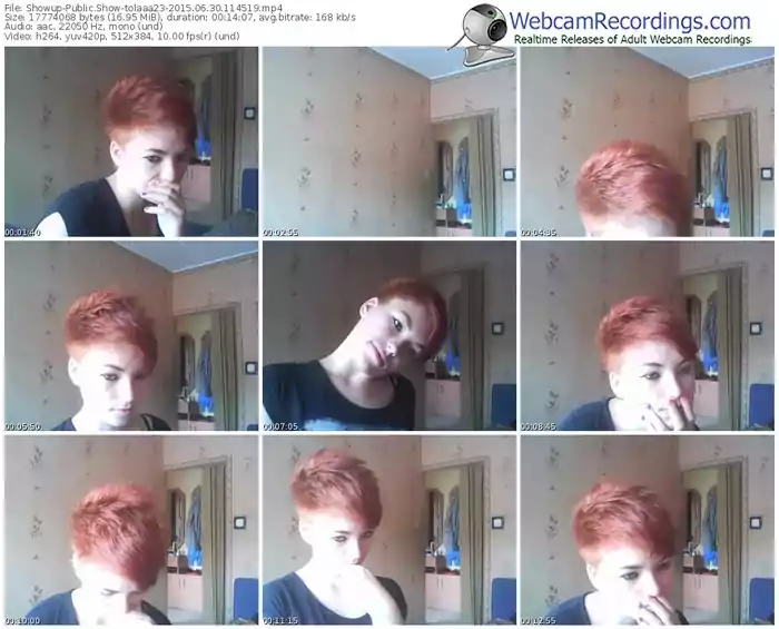 showup-tolaaa23-public-show-06_30_2015-11_45_19