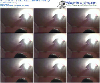 showup-grubabrzydkaszczera-public-show-07_01_2015-00_33_29