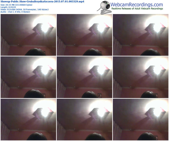 showup-grubabrzydkaszczera-public-show-07_01_2015-00_33_29