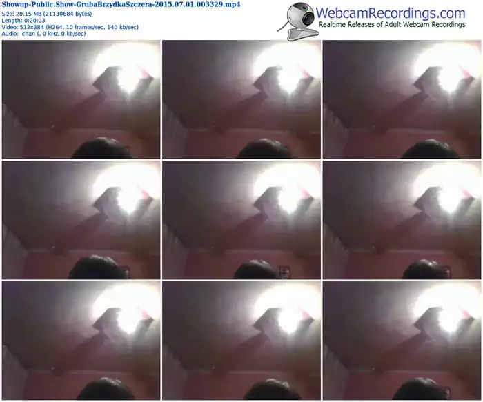 showup-grubabrzydkaszczera-public-show-07_01_2015-00_33_29