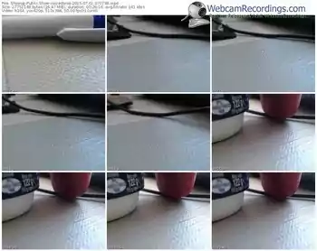 showup-calzedonia-public-show-07_01_2015-07_07_38