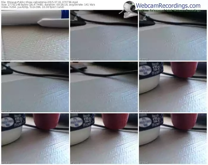 showup-calzedonia-public-show-07_01_2015-07_07_38