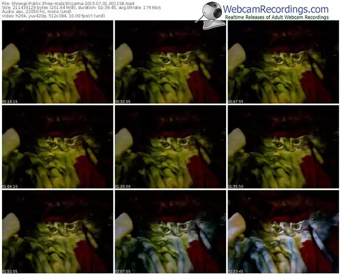 showup-mala30czarna-public-show-07_01_2015-00_11_58