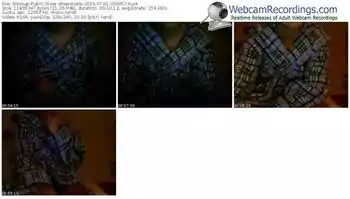 showup-shawshank-public-show-07_01_2015-00_00_57