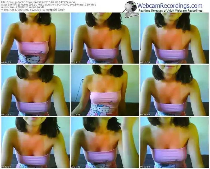 showup-ami22-public-show-07_02_2015-14_22_24