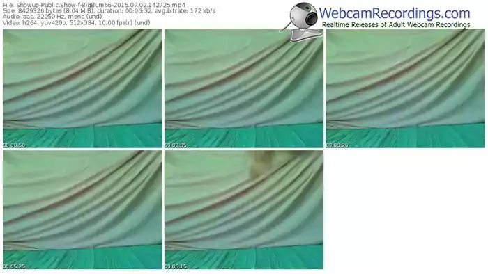 showup-bigbum66-public-show-07_02_2015-14_27_25