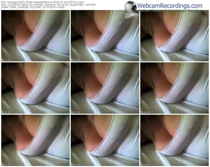 showup-mowmislonce-public-show-07_02_2015-03_57_11