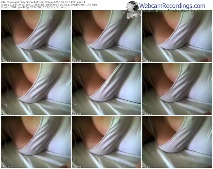 showup-mowmislonce-public-show-07_02_2015-04_27_14