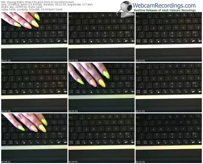 showup-pilar22-public-show-07_02_2015-03_52_10