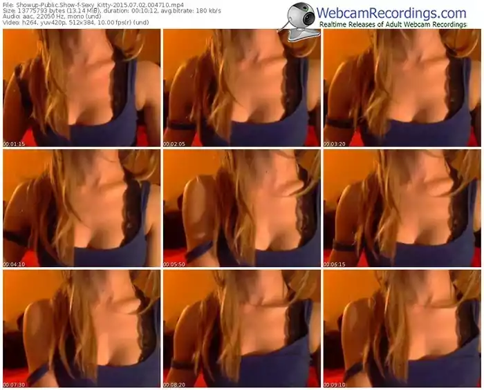 showup-sexy_kitty-public-show-07_02_2015-00_47_10