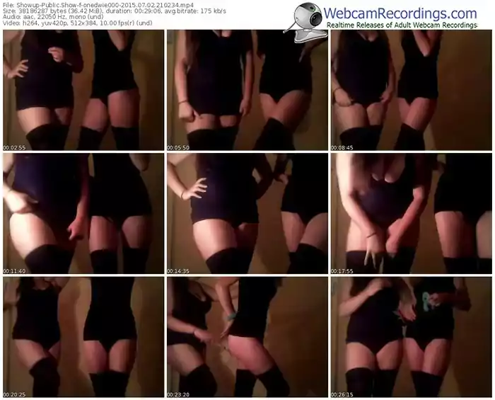 showup-onedwie000-public-show-07_02_2015-21_02_34