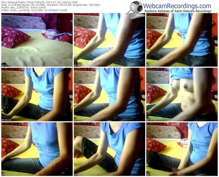 showup-sha31-public-show-07_02_2015-13_42_22