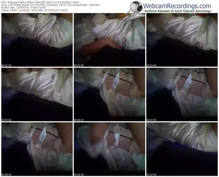 showup-ewa45-public-show-07_04_2015-06_28_11