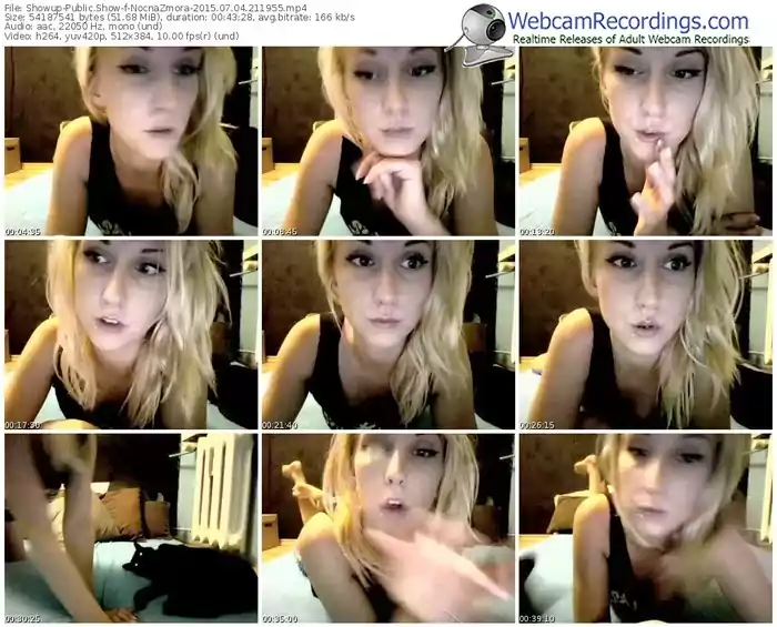 showup-nocnazmora-public-show-07_04_2015-21_19_55