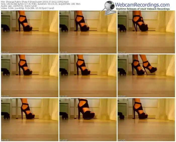 showup-snowqueen-public-show-07_04_2015-11_33_52