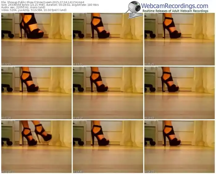 showup-snowqueen-public-show-07_04_2015-14_11_54