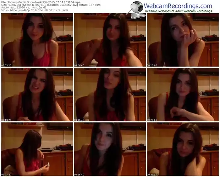 showup-wiki331-public-show-07_04_2015-20_39_54