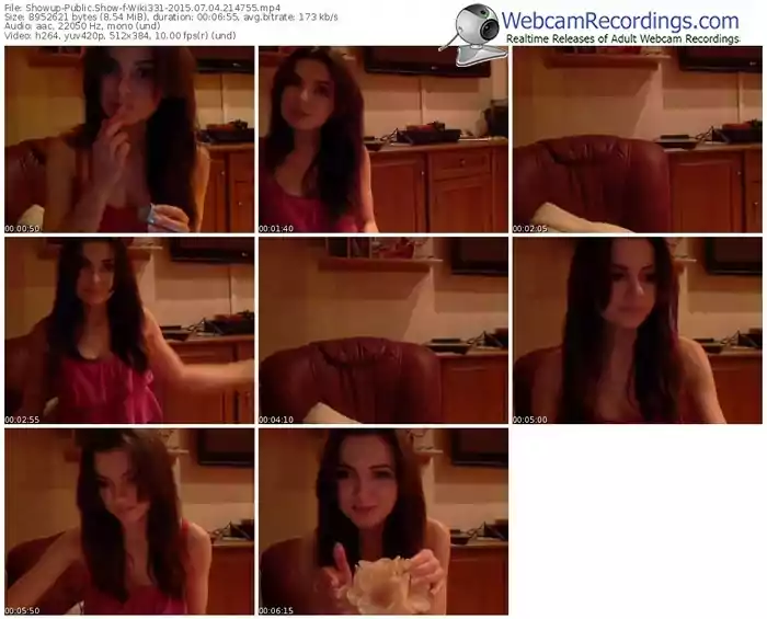 showup-wiki331-public-show-07_04_2015-21_47_55