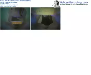 showup-little_sunshine-public-show-07_04_2015-00_58_02