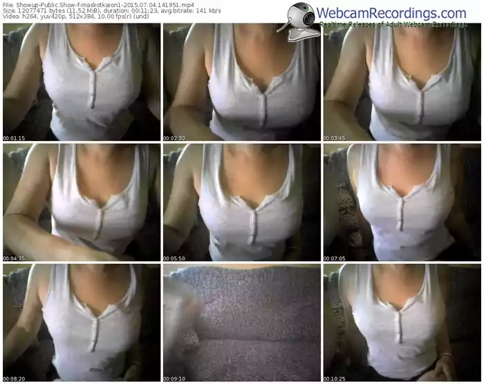 showup-maskotkaion1-public-show-07_04_2015-14_19_51